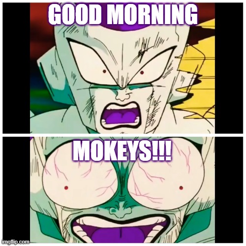 Frieza | GOOD MORNING; MOKEYS!!! | image tagged in frieza | made w/ Imgflip meme maker