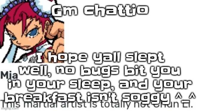 Yuh | I hope yall slept well, no bugs bit you in your sleep, and your breakfast isn't soggy ^_^; Gm chattio | image tagged in british chun li | made w/ Imgflip meme maker