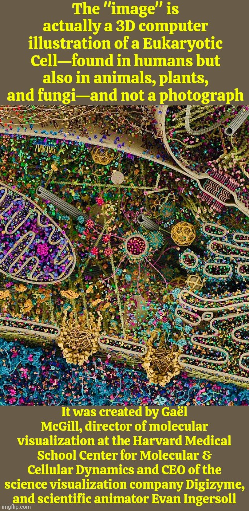 The "Image" Is Actually A 3D Computer Illustration Of A Eukaryotic Cell | The "image" is actually a 3D computer illustration of a Eukaryotic Cell—found in humans but also in animals, plants, and fungi—and not a photograph; It was created by Gaël McGill, director of molecular visualization at the Harvard Medical School Center for Molecular & Cellular Dynamics and CEO of the science visualization company Digizyme, and scientific animator Evan Ingersoll | image tagged in knowledge is power,science,now you know and knowing is half the battle,knowledge,learn something,memes | made w/ Imgflip meme maker