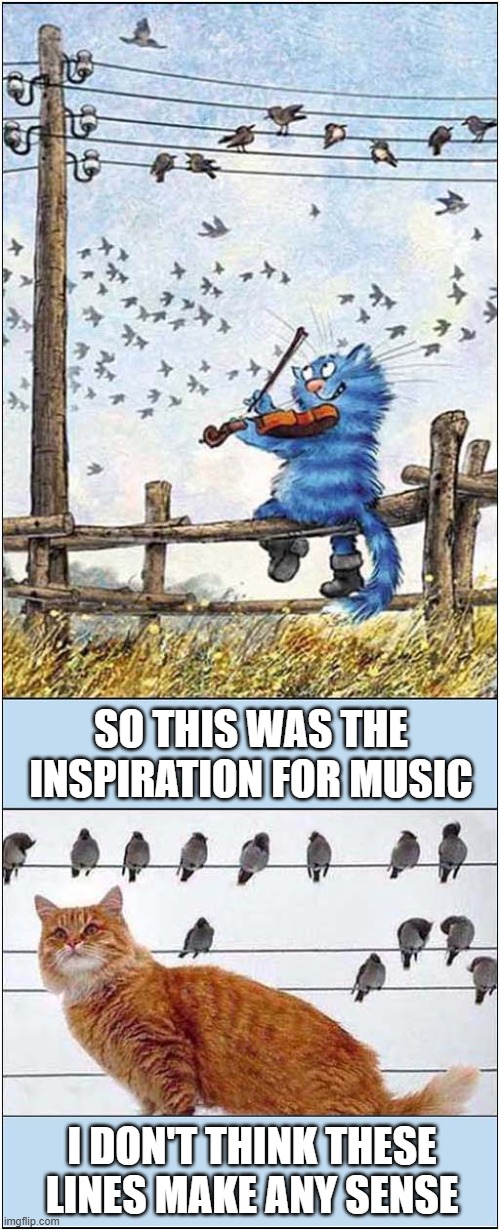 Origins | SO THIS WAS THE INSPIRATION FOR MUSIC; I DON'T THINK THESE LINES MAKE ANY SENSE | image tagged in cats,music,birds,lines | made w/ Imgflip meme maker