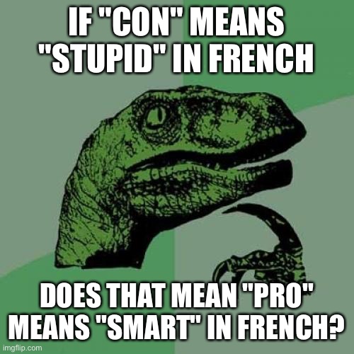 Philosoraptor | IF "CON" MEANS "STUPID" IN FRENCH; DOES THAT MEAN "PRO" MEANS "SMART" IN FRENCH? | image tagged in memes,philosoraptor | made w/ Imgflip meme maker