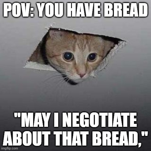 BREAD CAT | POV: YOU HAVE BREAD; "MAY I NEGOTIATE
ABOUT THAT BREAD," | image tagged in memes,ceiling cat,cats,cat,funny cats,funny | made w/ Imgflip meme maker