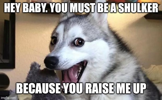 Smooth | HEY BABY. YOU MUST BE A SHULKER; BECAUSE YOU RAISE ME UP | image tagged in pun dog - husky | made w/ Imgflip meme maker