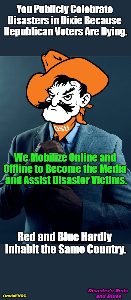 Blue Versus Red When Disaster Strikes | You Publicly Celebrate 

Disasters in Dixie Because 

Republican Voters Are Dying. We Mobilize Online and 

Offline to Become the Media 

and Assist Disaster Victims. Red and Blue Hardly 

Inhabit the Same Country. Disaster's Reds 

and Blues; OzwinEVCG | image tagged in natural disasters,liberals,sociopaths,red states,blue states,great divides | made w/ Imgflip meme maker