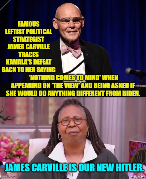 Hitler!  Hitler!  Hitler!  'Squawk!" | FAMOUS LEFTIST POLITICAL STRATEGIST JAMES CARVILLE TRACES KAMALA'S DEFEAT BACK TO HER SAYING; 'NOTHING COMES TO MIND' WHEN APPEARING ON 'THE VIEW' AND BEING ASKED IF SHE WOULD DO ANYTHING DIFFERENT FROM BIDEN. JAMES CARVILLE IS OUR NEW HITLER. | image tagged in yep | made w/ Imgflip meme maker