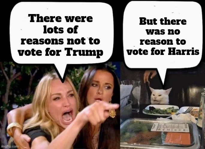 As simple as that | There were lots of reasons not to vote for Trump; But there was no reason to vote for Harris | image tagged in don't eat the cat,no plans,democrats,democratting,they re the same thing,always has been | made w/ Imgflip meme maker