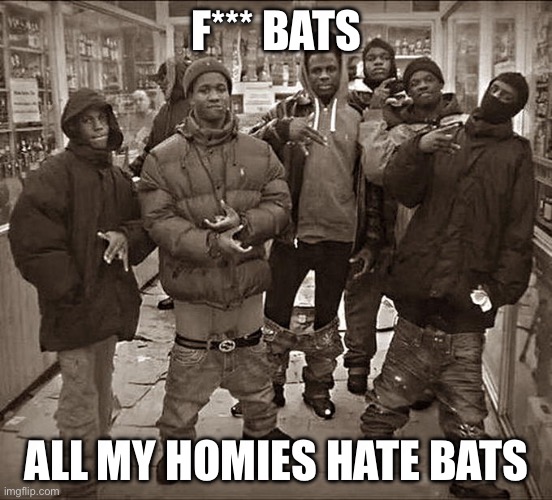 All My Homies Hate | F*** BATS ALL MY HOMIES HATE BATS | image tagged in all my homies hate | made w/ Imgflip meme maker