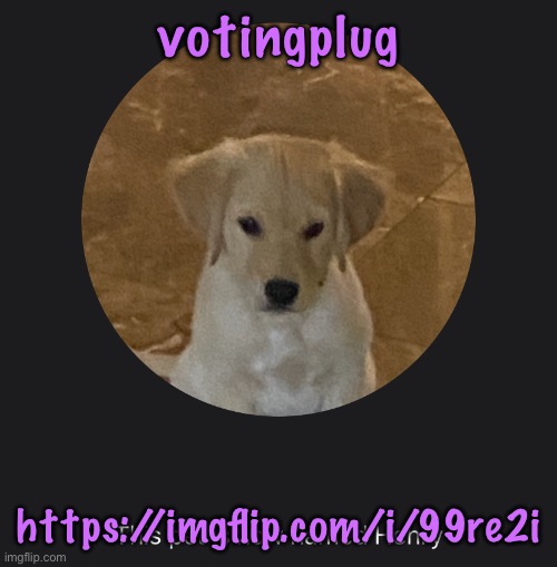 say hi to Henry | votingplug; https://imgflip.com/i/99re2i | image tagged in say hi to henry | made w/ Imgflip meme maker