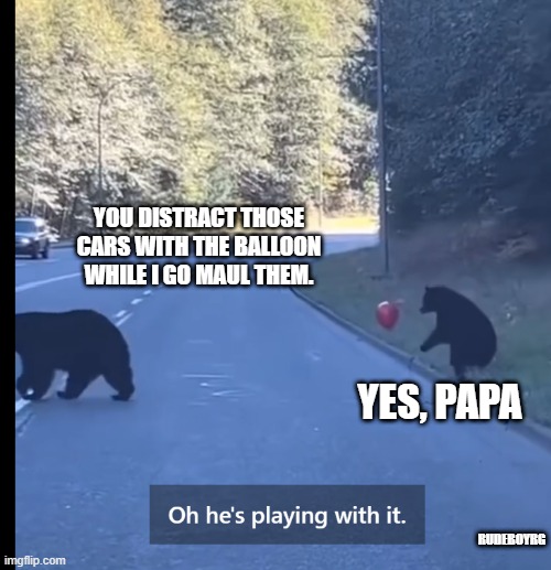 Bear with Balloon | YOU DISTRACT THOSE CARS WITH THE BALLOON WHILE I GO MAUL THEM. YES, PAPA; RUDEBOYRG | image tagged in bear,balloon | made w/ Imgflip meme maker