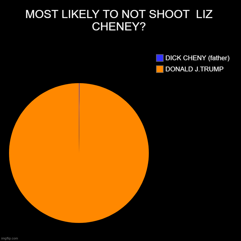 LIZ CHENEY SHOOTING ? | MOST LIKELY TO NOT SHOOT  LIZ CHENEY? | DONALD J.TRUMP, DICK CHENY (father) | image tagged in charts,shoot,dick cheney,liz,cheney,trump | made w/ Imgflip chart maker