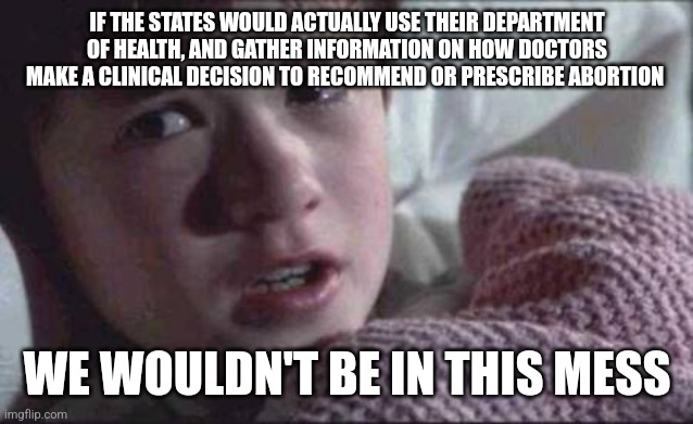 I See Dead People Meme | IF THE STATES WOULD ACTUALLY USE THEIR DEPARTMENT OF HEALTH, AND GATHER INFORMATION ON HOW DOCTORS MAKE A CLINICAL DECISION TO RECOMMEND OR PRESCRIBE ABORTION; WE WOULDN'T BE IN THIS MESS | image tagged in memes,i see dead people | made w/ Imgflip meme maker