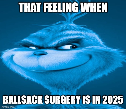 a snack that smiles back B A L L S A C K | THAT FEELING WHEN; BALLSACK SURGERY IS IN 2025 | image tagged in blue grinch | made w/ Imgflip meme maker