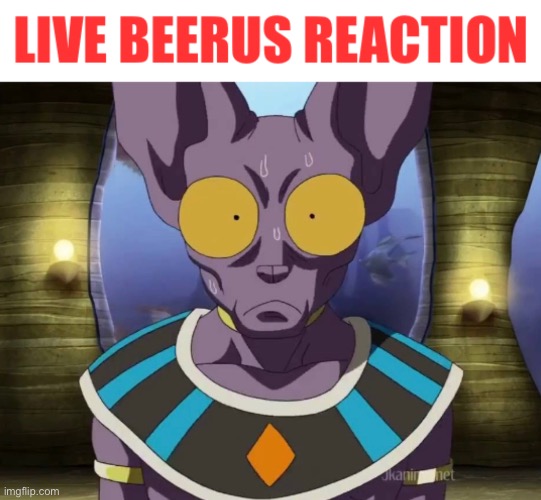 Live beerus reaction | image tagged in live beerus reaction | made w/ Imgflip meme maker