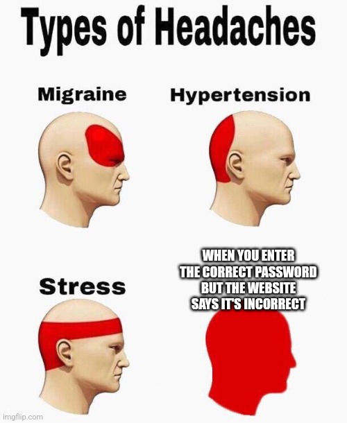 Sometimes websites act like toddlers smh... | WHEN YOU ENTER THE CORRECT PASSWORD BUT THE WEBSITE SAYS IT'S INCORRECT | image tagged in headaches | made w/ Imgflip meme maker