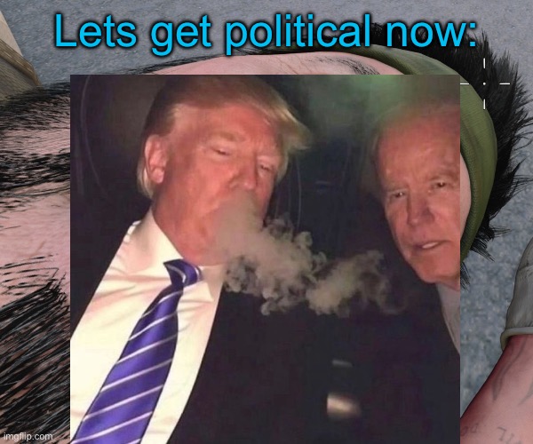 Woody woods | Lets get political now: | image tagged in woody woods | made w/ Imgflip meme maker