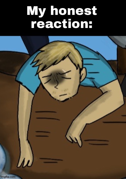 My honest reaction: | image tagged in my honest reaction | made w/ Imgflip meme maker