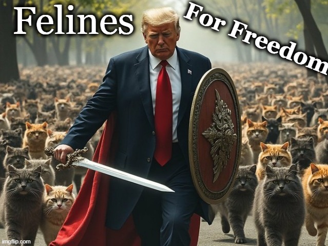 Trump Cats are Tough AND Smart! | Felines; For Freedom | image tagged in felines for freedom,donald trump approves,freedom,maga,feline,america will be back on track soon | made w/ Imgflip meme maker