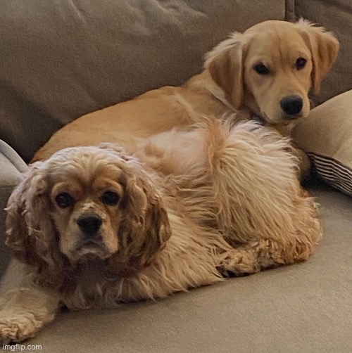 a parental advisory sticker will make this picture so much harder | made w/ Imgflip meme maker