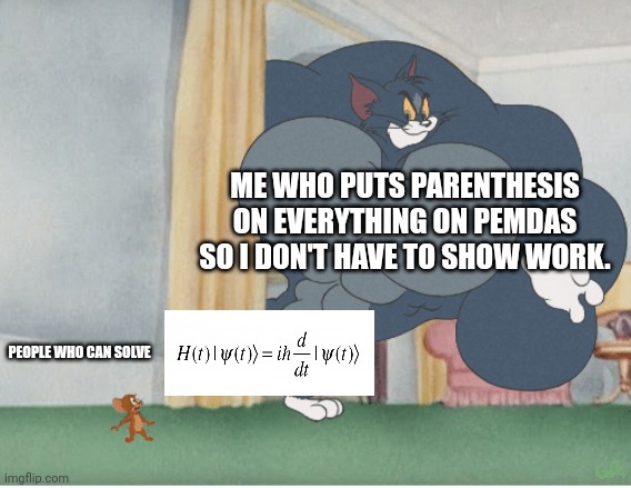 You read it. | ME WHO PUTS PARENTHESIS ON EVERYTHING ON PEMDAS SO I DON'T HAVE TO SHOW WORK. PEOPLE WHO CAN SOLVE | image tagged in strong tom | made w/ Imgflip meme maker