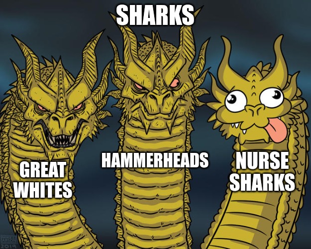 Three-headed Dragon | SHARKS; NURSE SHARKS; HAMMERHEADS; GREAT WHITES | image tagged in three-headed dragon,sharks | made w/ Imgflip meme maker