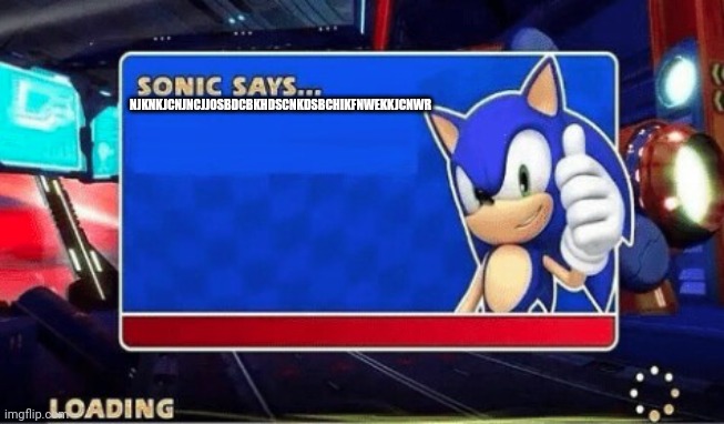 Sonic Says | NJKNKJCNJNCJJOSBDCBKHDSCNKDSBCHIKFNWEKKJCNWR | image tagged in sonic says | made w/ Imgflip meme maker