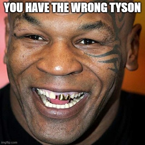 Mike Tyson laff | YOU HAVE THE WRONG TYSON | image tagged in mike tyson laff | made w/ Imgflip meme maker