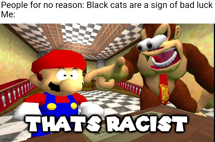 Why do specifically black cats have to be a sign of bad luck? | People for no reason: Black cats are a sign of bad luck

Me: | image tagged in dk says that's racist,black cat | made w/ Imgflip meme maker