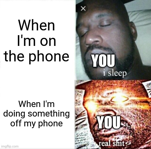 Sleeping Shaq Meme | When I'm on the phone; YOU; When I'm doing something off my phone; YOU | image tagged in memes,sleeping shaq | made w/ Imgflip meme maker