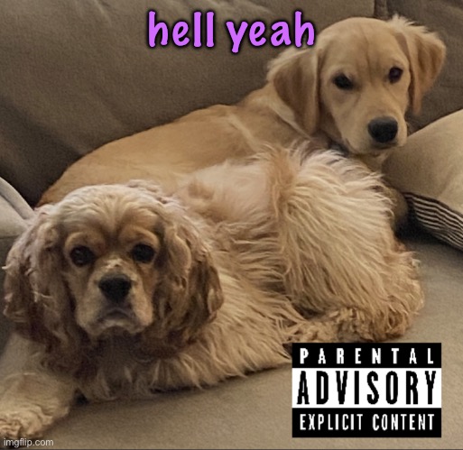Gnocchi and Henry’s first studio album | hell yeah | image tagged in gnocchi and henry s first studio album,cinnabox announcement | made w/ Imgflip meme maker