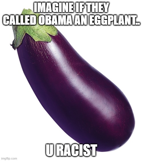 motivational eggplant | IMAGINE IF THEY CALLED OBAMA AN EGGPLANT.. U RACIST | image tagged in motivational eggplant | made w/ Imgflip meme maker