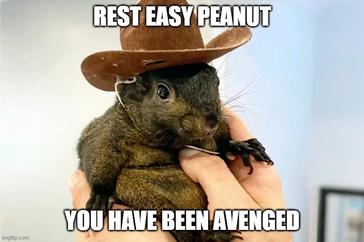 for peanut | REST EASY PEANUT; YOU HAVE BEEN AVENGED | image tagged in maga | made w/ Imgflip meme maker