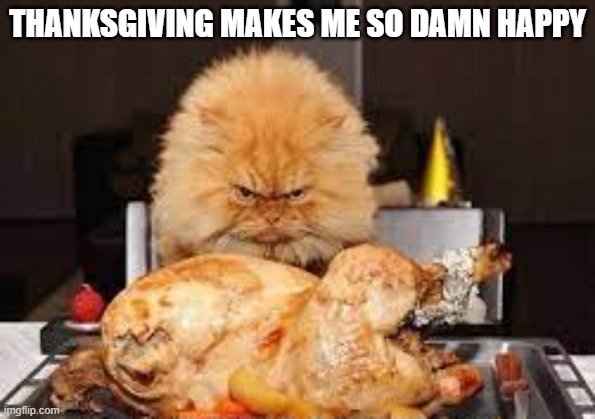 memes by Brad - Thanksgiving make this cat so happy | THANKSGIVING MAKES ME SO DAMN HAPPY | image tagged in cats,funny,kittens,thanksgiving,turkey,dinner | made w/ Imgflip meme maker