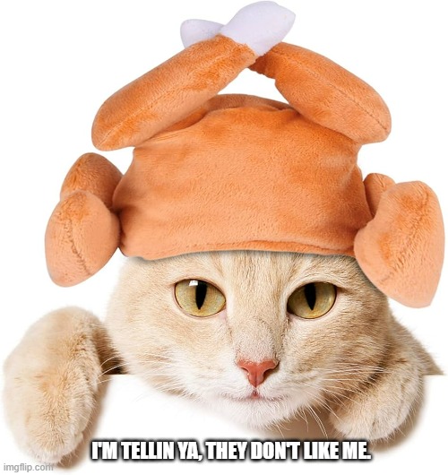 memes by Brad - Cat doesn't think her humans like her - kittens - | I'M TELLIN YA, THEY DON'T LIKE ME. | image tagged in cats,funny,thanksgiving,humor,kitten,costume | made w/ Imgflip meme maker