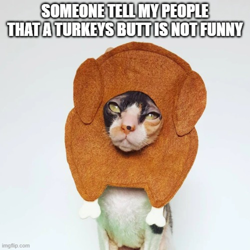 memes by Brad - Cat doesn't think that a turkey butt costume is funny. | SOMEONE TELL MY PEOPLE THAT A TURKEYS BUTT IS NOT FUNNY | image tagged in cats,funny,kittens,thanksgiving,costume,turkey | made w/ Imgflip meme maker