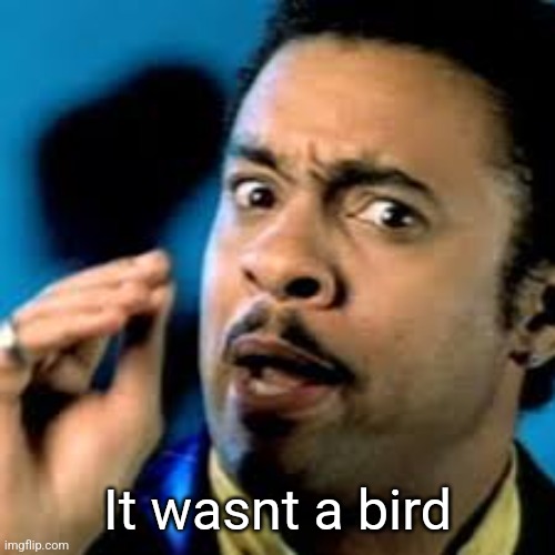 Shaggy | It wasnt a bird | image tagged in shaggy | made w/ Imgflip meme maker