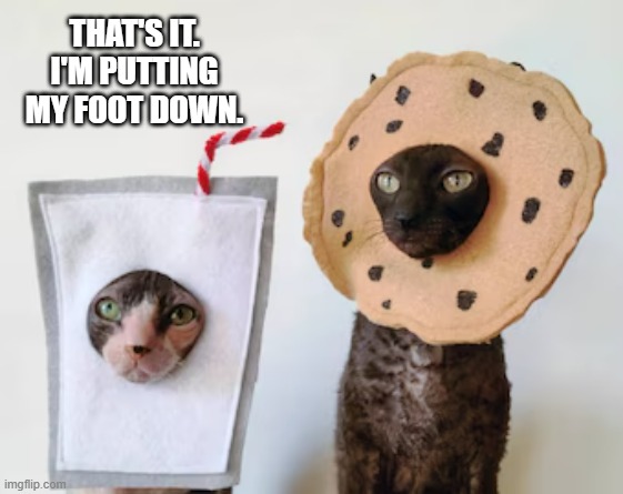 memes by Brad - Two cats think this costume thing has gone too far - humor - | THAT'S IT. I'M PUTTING MY FOOT DOWN. | image tagged in cats,funny,costumes,thanksgiving,humor,kittens | made w/ Imgflip meme maker