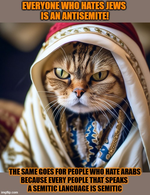 This #lolcat wonders why many hoo-mens don't know what 'semitic' means | EVERYONE WHO HATES JEWS 
IS AN ANTISEMITE! THE SAME GOES FOR PEOPLE WHO HATE ARABS
BECAUSE EVERY PEOPLE THAT SPEAKS 
A SEMITIC LANGUAGE IS SEMITIC | image tagged in antisemitism,zionism,lolcat,uneducated,education | made w/ Imgflip meme maker