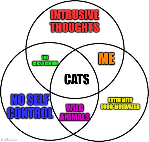 I think I hit the nail on the head. | INTRUSIVE THOUGHTS; ME; THE CLASS CLOWN; CATS; NO SELF CONTROL; EXTREMELY FOOD-MOTIVATED; WILD ANIMALS | image tagged in venn diagram,memes,funny,cats | made w/ Imgflip meme maker