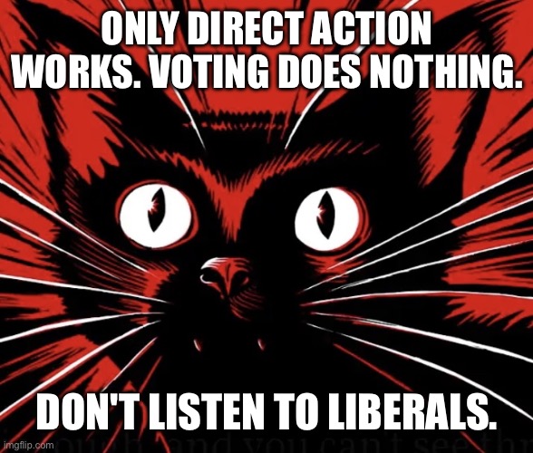 Don't listen to liberals | ONLY DIRECT ACTION WORKS. VOTING DOES NOTHING. DON'T LISTEN TO LIBERALS. | image tagged in sabo tabby cat,anarchism,communism | made w/ Imgflip meme maker