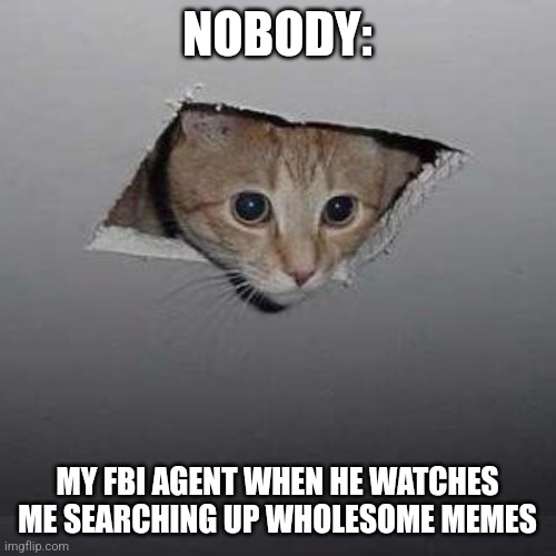 My FBI agent appreciates wholesome memes | NOBODY:; MY FBI AGENT WHEN HE WATCHES ME SEARCHING UP WHOLESOME MEMES | image tagged in memes,ceiling cat,jpfan102504 | made w/ Imgflip meme maker