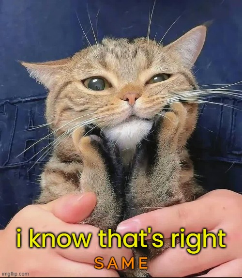 S A M E i know that's right | made w/ Imgflip meme maker