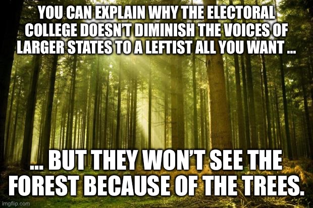 No matter how you explain it to the purblind leftist | YOU CAN EXPLAIN WHY THE ELECTORAL COLLEGE DOESN’T DIMINISH THE VOICES OF LARGER STATES TO A LEFTIST ALL YOU WANT …; … BUT THEY WON’T SEE THE FOREST BECAUSE OF THE TREES. | image tagged in sunlit forest | made w/ Imgflip meme maker