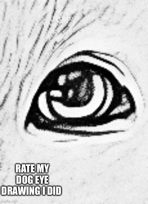 Rate the dog eye drawing | RATE MY DOG EYE DRAWING I DID | made w/ Imgflip meme maker