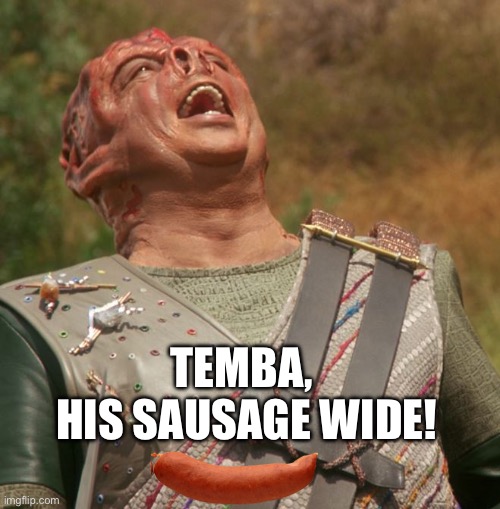 Add “sausage” to a Star Trek quote | TEMBA, 
HIS SAUSAGE WIDE! | image tagged in star trek dathon,star trek the next generation,sausage,star trek | made w/ Imgflip meme maker