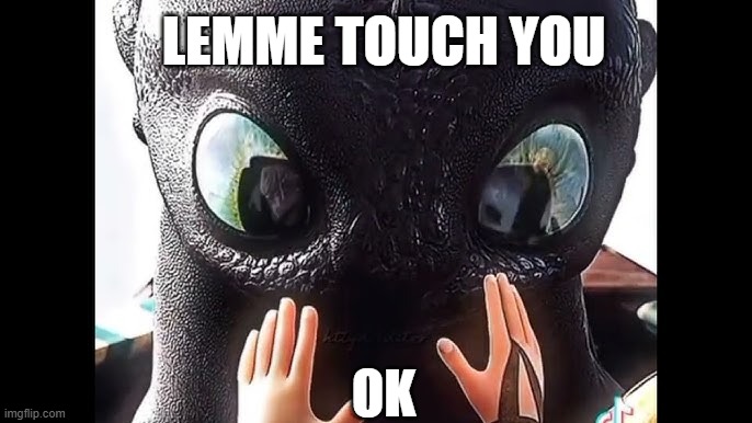 LEMME TOUCH YOU | LEMME TOUCH YOU; OK | image tagged in ok | made w/ Imgflip meme maker