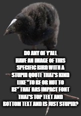 pukeko chick | DO ANY OF Y'ALL HAVE AN IMAGE OF THIS SPECIFIC BIRD WITH A STUPID QUOTE THAT'S KIND LIKE "TO BE OR NOT TO BE" THAT HAS IMPACT FONT THAT'S TOP TEXT AND BOTTOM TEXT AND IS JUST STUPID? | image tagged in pukeko chick | made w/ Imgflip meme maker