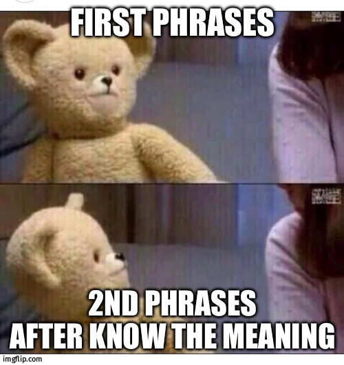 FIRST PHRASES 2ND PHRASES AFTER KNOW THE MEANING | image tagged in wait what | made w/ Imgflip meme maker