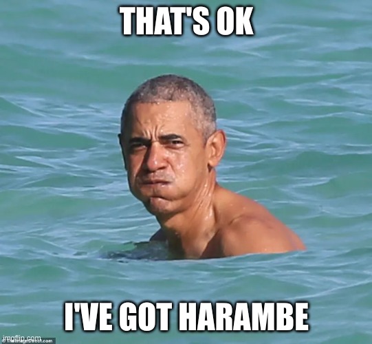 THAT'S OK I'VE GOT HARAMBE | made w/ Imgflip meme maker