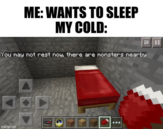 Low effort meme (I fucking hate being sick) | ME: WANTS TO SLEEP
MY COLD: | image tagged in you may not rest now there are monsters nearby | made w/ Imgflip meme maker