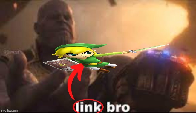 link bro | image tagged in link bro | made w/ Imgflip meme maker